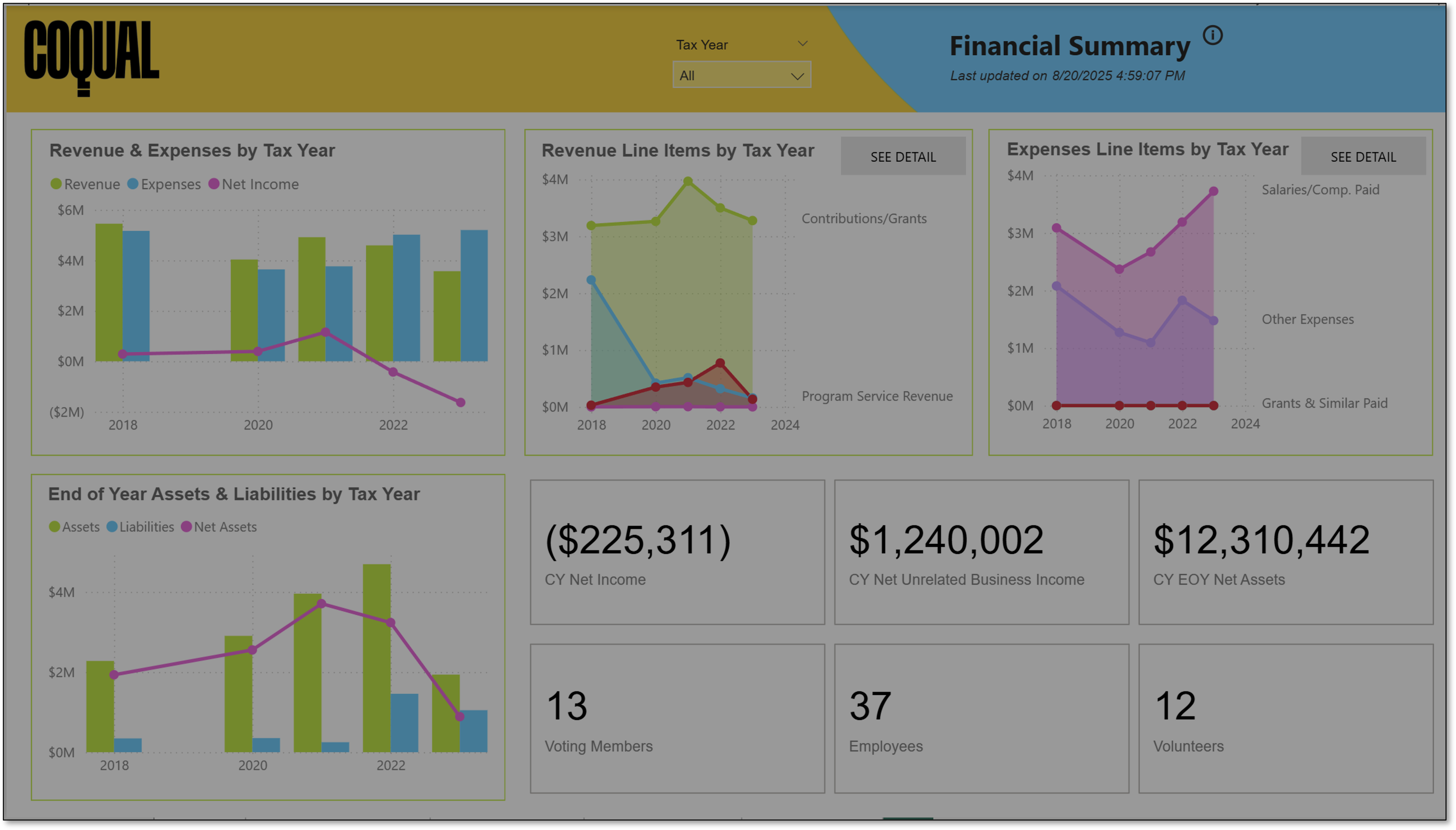 Nonprofit in a Nutshell Dashboard, Financial Summary page, 60% transparent